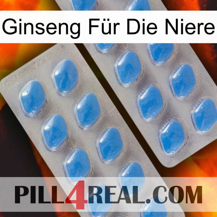 Ginseng Für Die Niere 23